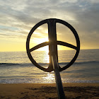 Kullanıcı: hugo hernandez