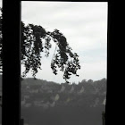 Gebruiker: Rene Töllner