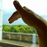 kib36833401's Avatar