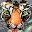 Schipor Nicu's user avatar