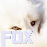 arcticfoxbase's Avatar