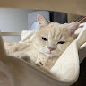 ilsa. profile picture