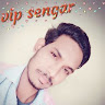 vipsengar