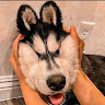 user icon