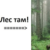 Алекс Котофеевич