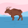 Randy Deer