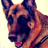Smiljana profile picture