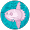 mola mola