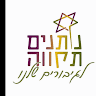 שלמה שימון's photo