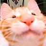 Civitai profile picture for @Harass