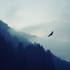 Használó: Imad Barakat