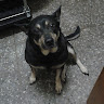 b0912065761269's Avatar