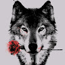 yipyopgo's Avatar