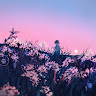 avatar-avatar
