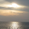 david meir's photo