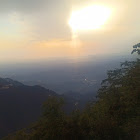 Käyttäjä: احمد الفيفي