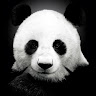 2nonsen3323299's Avatar