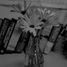 Created by
