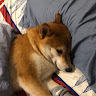 張定恩