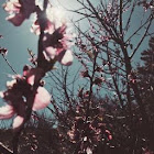 ผู้ใช้: Fatema Tuj Johura