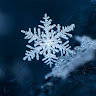 snowflake101's Avatar