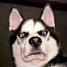 pickcj29626's Avatar