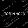 Tosun Hoca