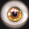 Civitai profile picture for @Witness