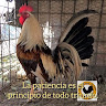 Created by