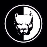 Người dùng: Александр Старый (OldBoss)