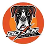 Boxer Electrical