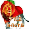 sofi h.'s profile image