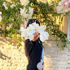 ผู้ใช้: Alissar Suleiman