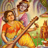 K T Meenakshi