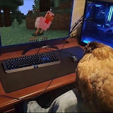 사용자를: arnold raj