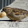 吳芫峻