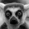 Pawa Andruwa
