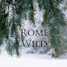 Writer: Rome Wild Photography