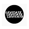 Writer: levitate sneakers