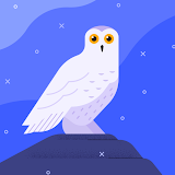 จติญญา แพงโคตร