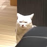 廖哲沅
