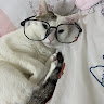 張軒濬