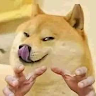 Nikky