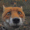 直