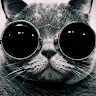 Ray p