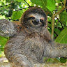 Writer: Slothy