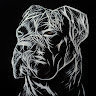 Photo du rédacteur: canecorsoclubdefrance