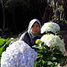 Created by