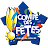 comité des fêtes