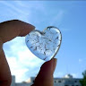 پریسا درویشی